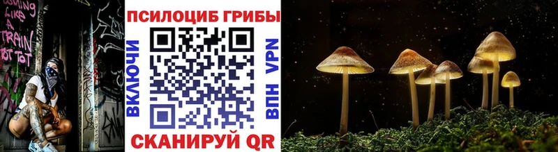 закладка  Ливны  Галлюциногенные грибы Cubensis 
